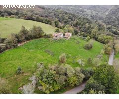 FINCA RÚSTICA EDIFICABLE EN PILOÑA, INFIESTO