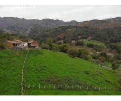 FINCA EDIFICABLE EN PARAÍSO NATURAL  PILOÑA (INFIESTO)