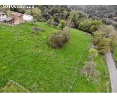 FINCA EDIFICABLE EN PILOÑA, EN UN IMPRESIONANTE PAISAJE NATURAL CON MONTAÑAS, VALLES Y RIOS