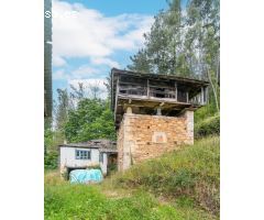 Tu refugio en la naturaleza: un paraíso con vistas para transformar en tu hogar