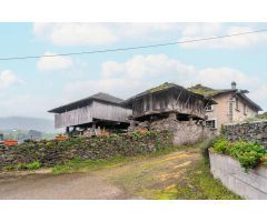 2 CASAS CON FINCA