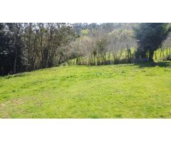 Finca Edificable Siero!!