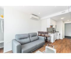 HOTEL APARTAMENTOS EL BEYU CANGAS DE ONIS