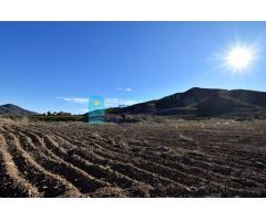 Terreno Rústico en Lorca zona Morata. REF 39