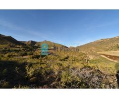 CASAS EN RUINAS EN TERRENO DE 20.000 METROS EN LAS BALSICAS - REF 2204