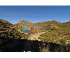 TERRENO RÚSTICO A LA VENTA EN MAZARRÓN - REF 2205