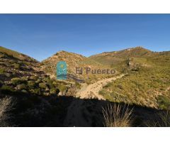 TERRENO RÚSTICO A LA VENTA EN MAZARRÓN - REF 2205