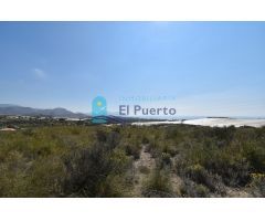 TERRENO EN VENTA CON BALSA DE RIEGO EN MAZARRÓN - REF 2206