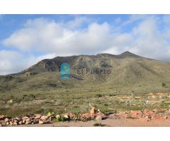 TERRENO RUSTICO CON CASA PARA REFORMAR REF. 208