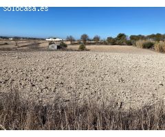 SE VENDE PARCELA SEGREGADA EN EL FONTANAR
