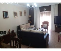 VENTA DE DOS CHALETS EN LA RANA VERDE