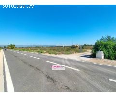 Se Vende Finca en término de Riudoms ( Baix Camp ) a ocho minutos de Reus y Cambrils