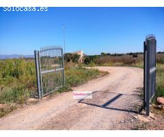Se Vende Finca en término de Riudoms ( Baix Camp ) a ocho minutos de Reus y Cambrils