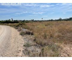 CARRETERA SANTA POLA ALTURA MOLINETA