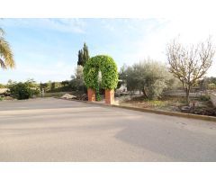 Elche Chalet de 2 Plantas en Zona Pussol , cada planta es una vivienda totalmente independiente
