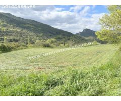 Parcela rustica en Estella