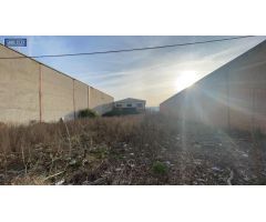 Agencia Inmobiliaria Arbeteta, VENDE PARCELA DE 1347 M2 CON NAVE.