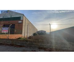 Agencia Inmobiliaria Arbeteta, VENDE PARCELA DE 1347 M2 CON NAVE.