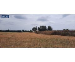INMOBILIARIA ARBETETA PONE EN VENTA TERRENO URBANIZABLE EN HUMANES DE MOHERNANDO DE 6.903 m²