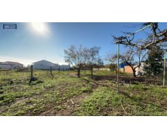 INMOBILIARIA ARBETETA VENDE DOS VIVIENDAS CON GRAN PARCELA EN HUMANES DE MOHERNANDO, GUADALAJARA