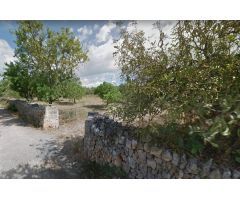 Terreno rural en Venta en Santa Margalida, Islas Baleares