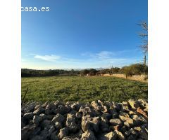 FINCA RÚSTICA EN SINEU