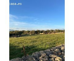 FINCA RÚSTICA EN SINEU