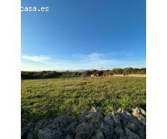 FINCA RÚSTICA EN SINEU