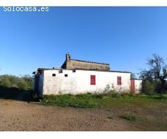FINCA RUSTICA EN BINIALI