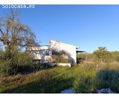 FINCA RUSTICA EN BINIALI