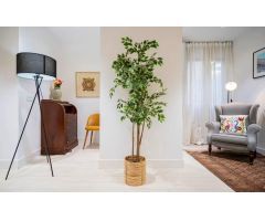 Venta en Malasaña-Universidad