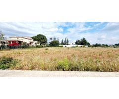 Venta de Parcelas en Vila-real – Zona Exclusiva de Villas