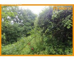 SE VENDE CASA EN O VAL, NOGUEIRA DE RAMUIN, OURENSE
