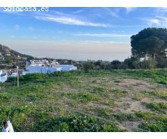 Terreno en venta en calle Araucaria, Urbanización Buena Vista