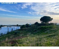 Terreno en venta en calle Araucaria, Urbanización Buena Vista