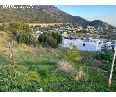 Terreno en venta en calle Araucaria, Urbanización Buena Vista