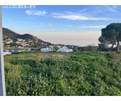 Terreno en venta en calle Araucaria, Urbanización Buena Vista