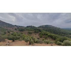 FINCA RÚSTICA