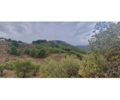 FINCA RÚSTICA