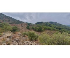 FINCA RÚSTICA