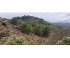 FINCA RÚSTICA