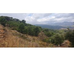 FINCA RÚSTICA