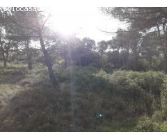Terreno en venta en Mediona
