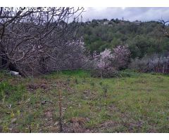 Parcela en urbanización de montaña