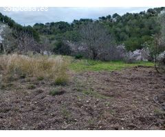 Parcela en urbanización de montaña