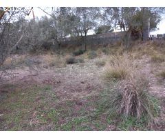 Parcela en urbanización de montaña