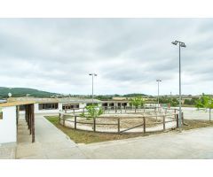 Hipica de alquiler en Castellvi de la Marca