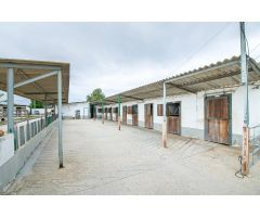 Hipica de alquiler en Castellvi de la Marca