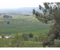 Parcela en venta en Torrelles de Foix