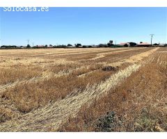 Terreno Rústico en Venta en Don Benito, Badajoz